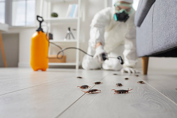 Commercial Kitchen Cockroach Control in Stryker